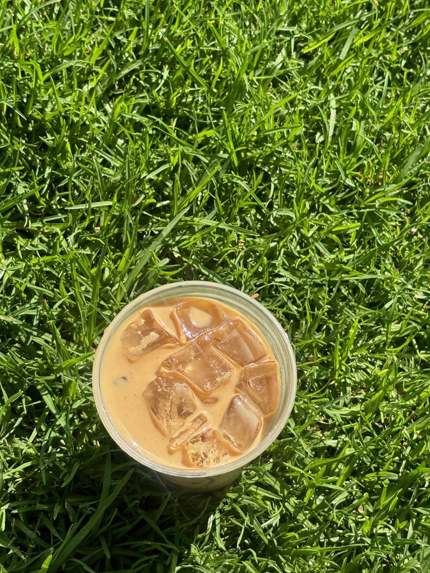 Baja Beans work